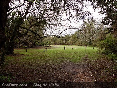 Acampar en Parque Nacional Colón