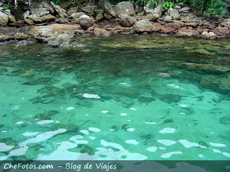 Aguas transparentes de Ilha Grande