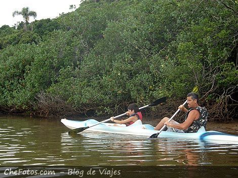 Kayak en Manglar de Garopaba - Brasil