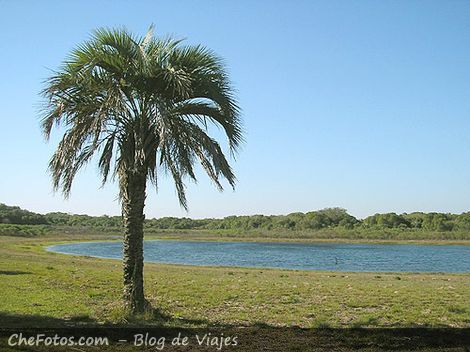 Lagunas en Mburucuyá y Palmera Yatay