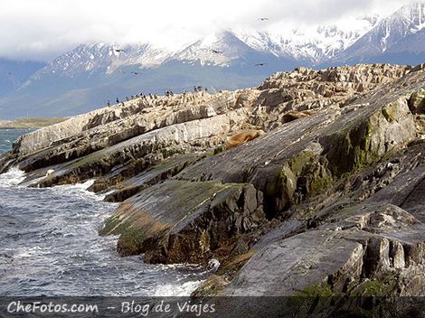 Paseo marítimo por el canal de Beagle