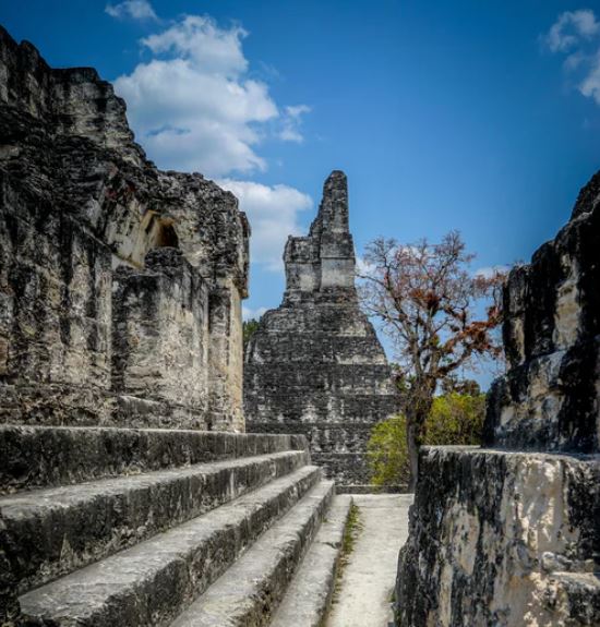 Visitar Las Ruinas Mayas de Tikal - 30 Fotos y mis recomendaciones