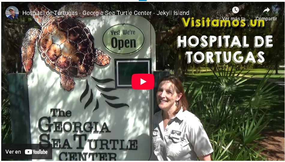 Visitamos el Hospital de Tortugas de Georgia (EE.UU.)