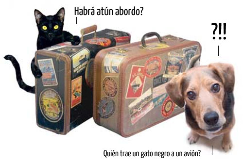 viajar-mascota-avion