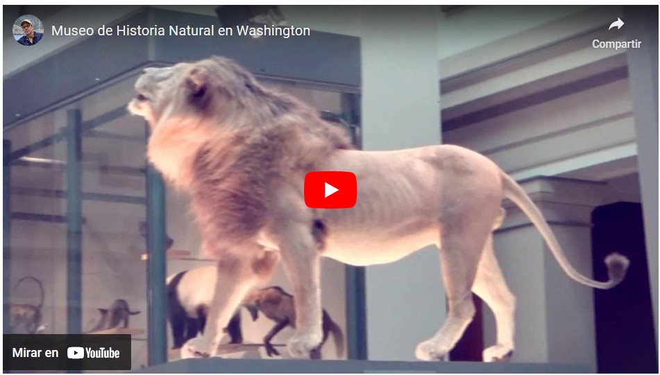 Museo de Historia Natural, WDC