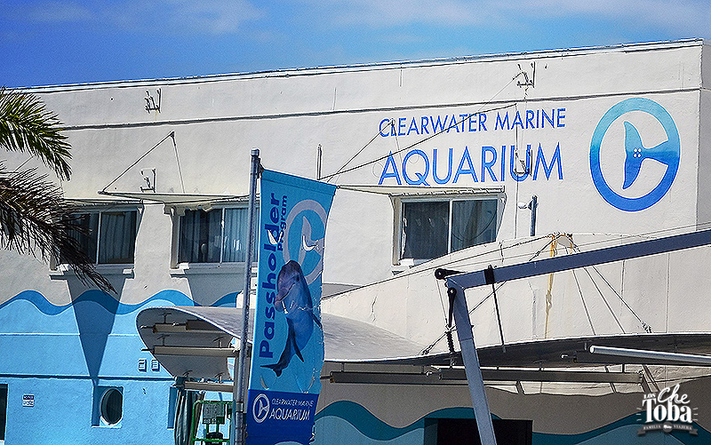 opiniones-clearwater-marine-aquarium