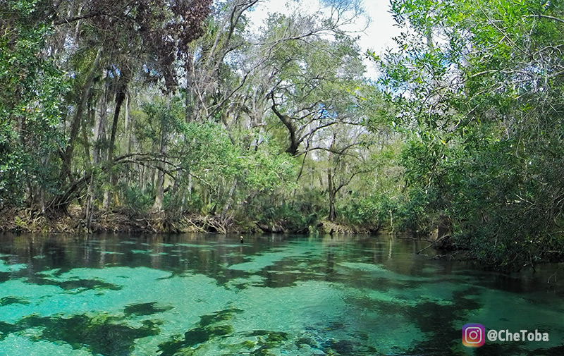 Crystal Water Spring River, en La Florida, cerca de Orlando