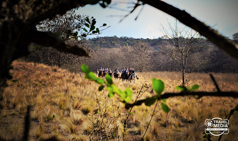 Alquilar caballos en Santa Rosa