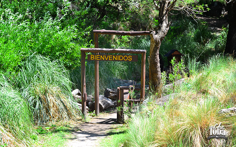 Rutas y senderos de trekking en Merlo: Cerro Mogote Bayo