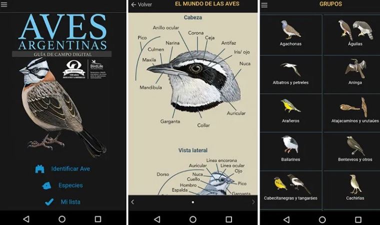 Aves Argentinas App