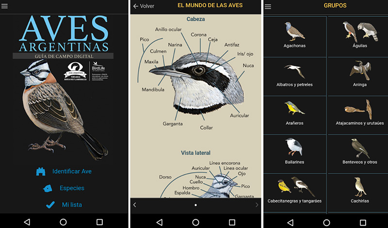 Guía de Aves para el celular de #AvesArgentinas