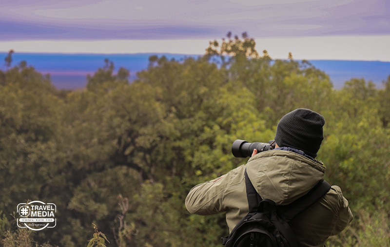 Salida de observación de aves en la Villa de Merlo, San Luis.