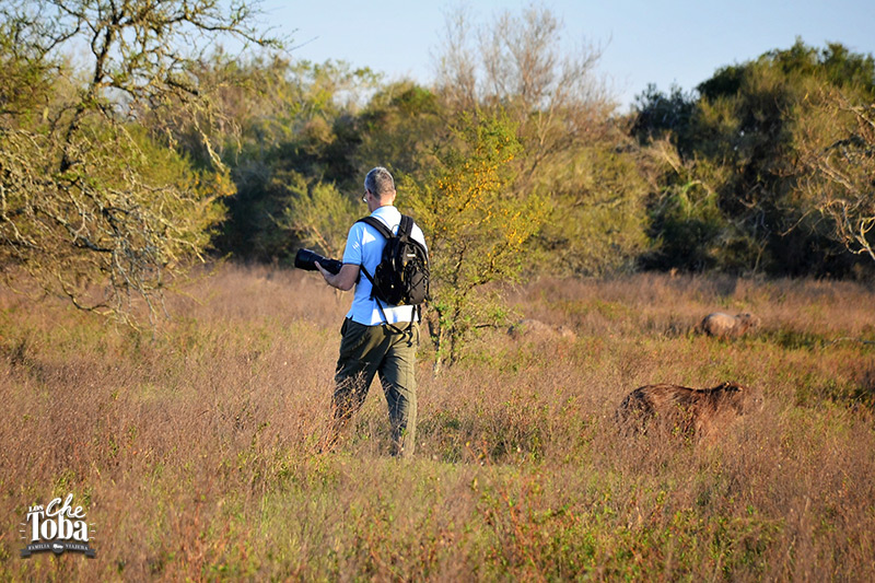 Safari fotográfico Esteros del Iberá