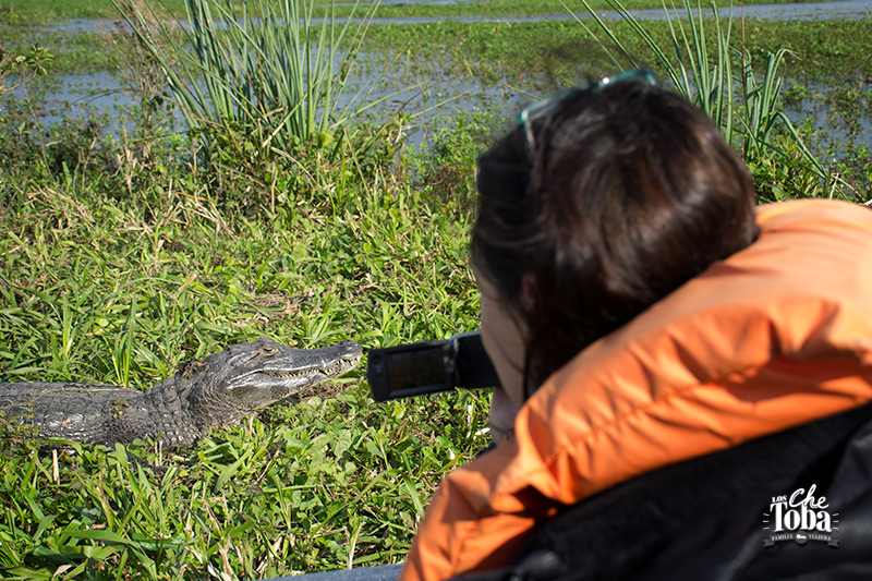 Safari fotográfico Esteros del Iberá