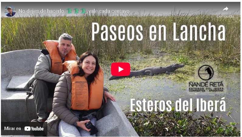Paseos en lancha en Esteros del Iberá