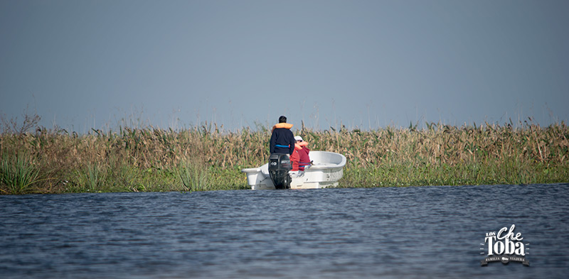 Paseo de lancha Iberá