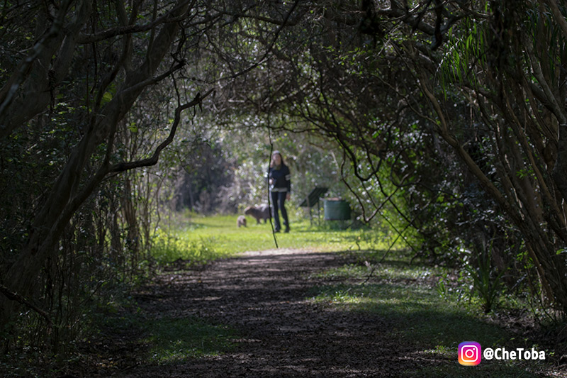 Excursiones en los esteros del iberá