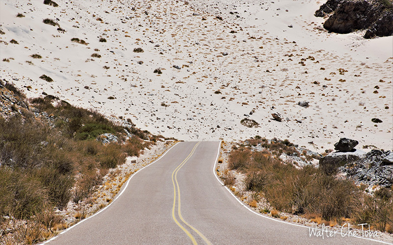 El camino desde Belén hacia Antofagasta de la Sierra, Catamarca