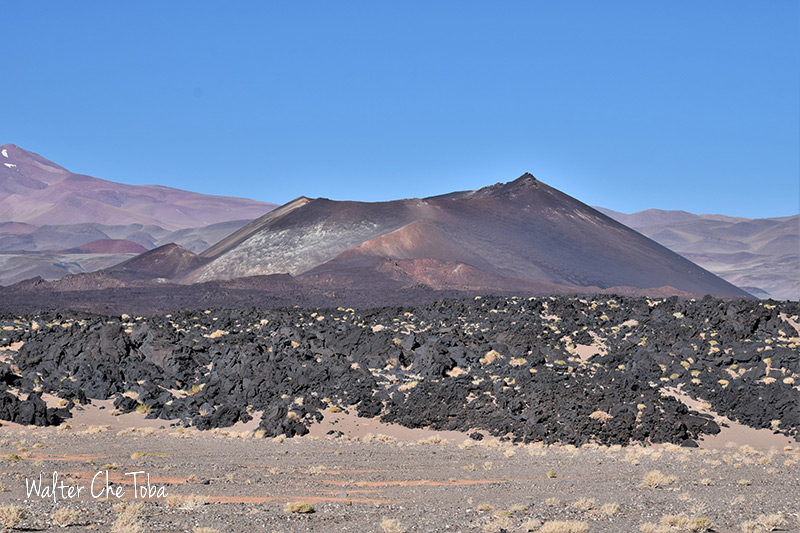 El camino desde Belén hacia Antofagasta de la Sierra, Catamarca