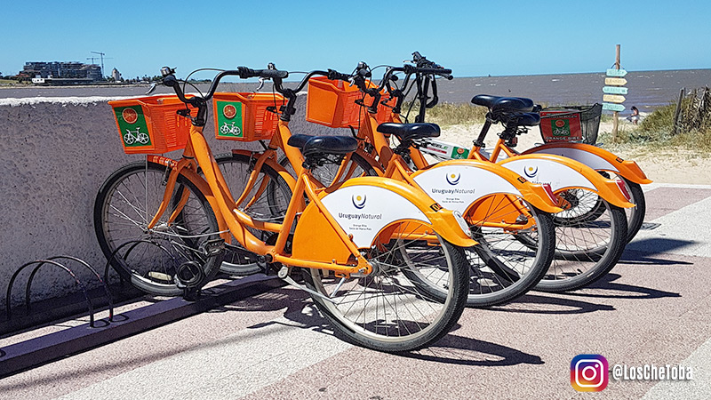 Bicicletas en Montevideo para alquilar