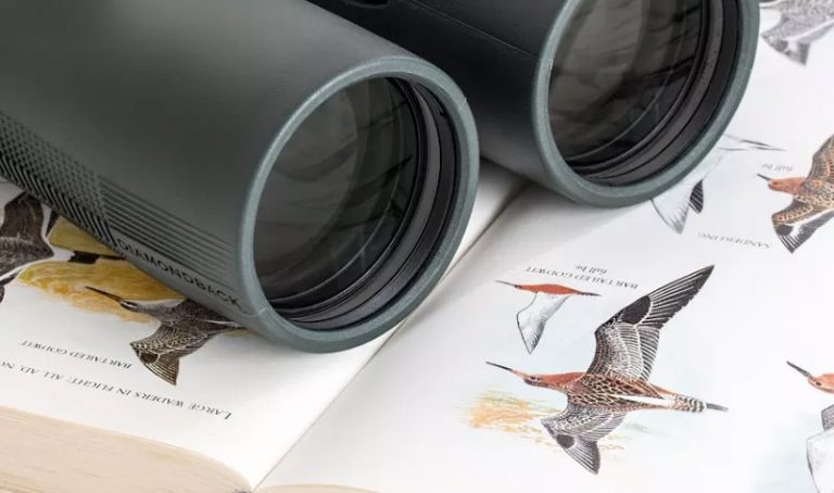Binoculares recomendados para la observación de aves