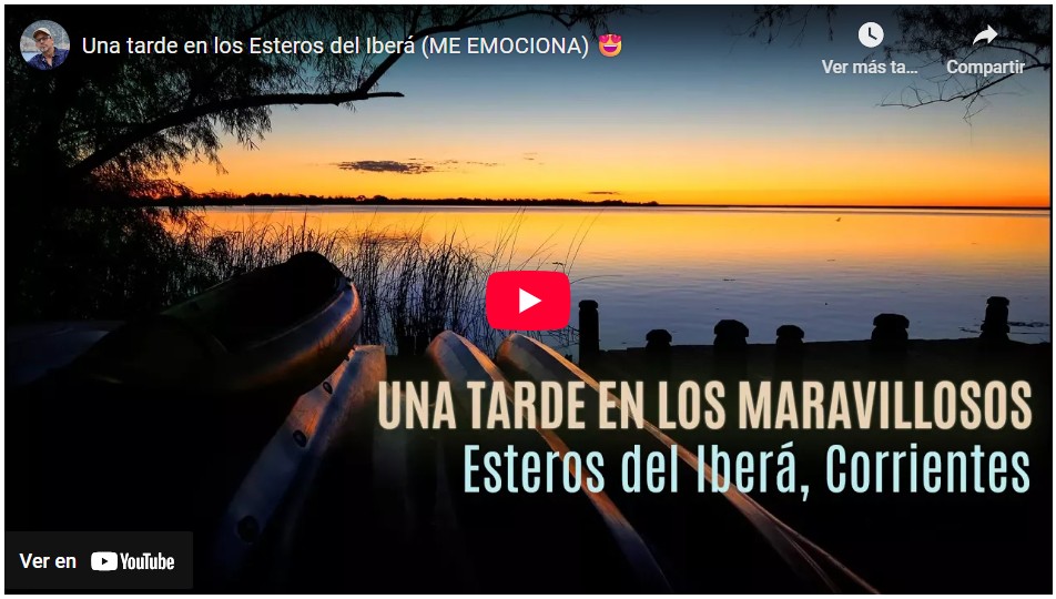 Una tarde en iberá, corrientes