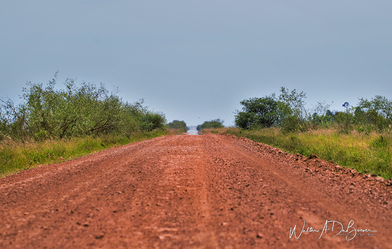 Una tarde en la Estancia Rincón del Socorro?