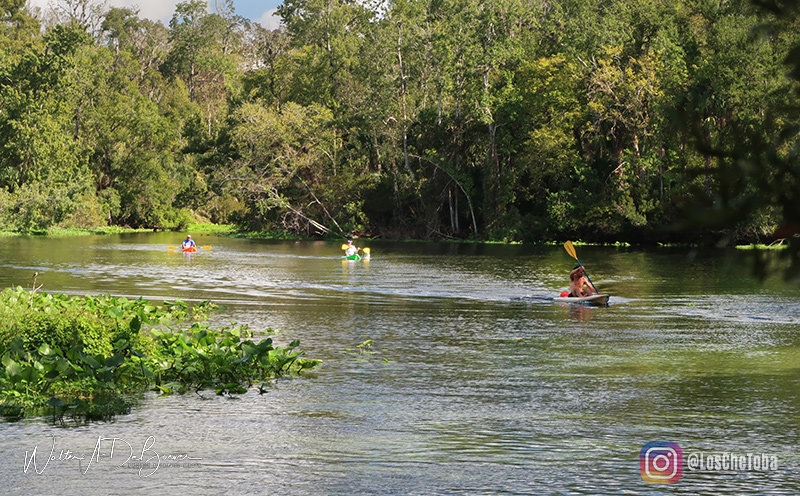 Excursiones recomendadas para hacer cerca de Orlando