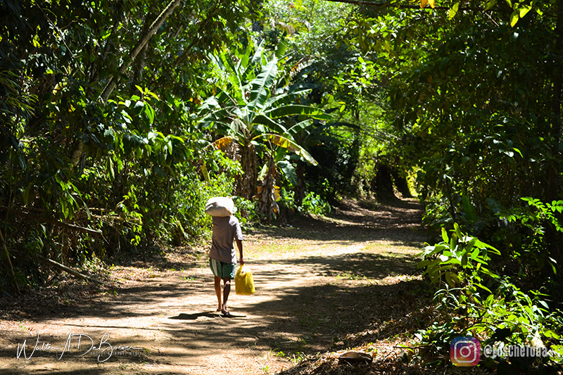 Camino alternativo a Lopes Mendes