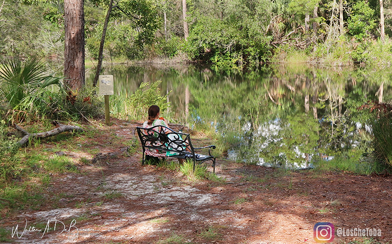 Wekiwa Spring Florida