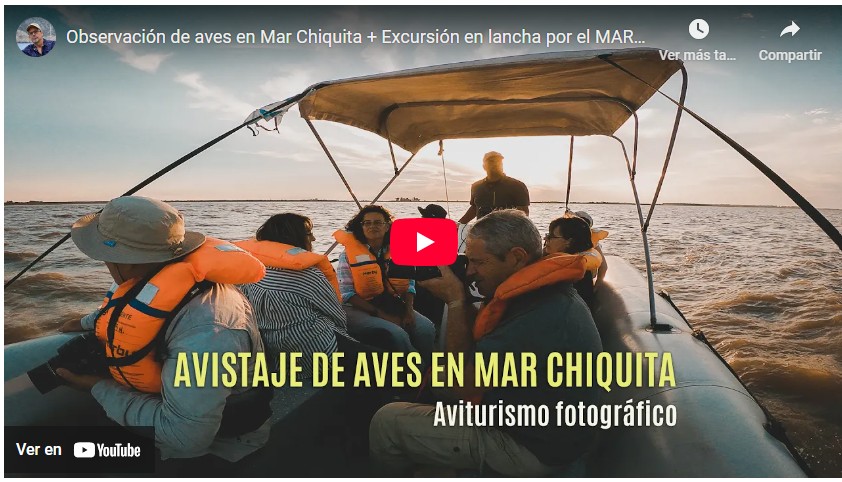 Turismo de Aves en Córdoba. Miramar de Ansenuza