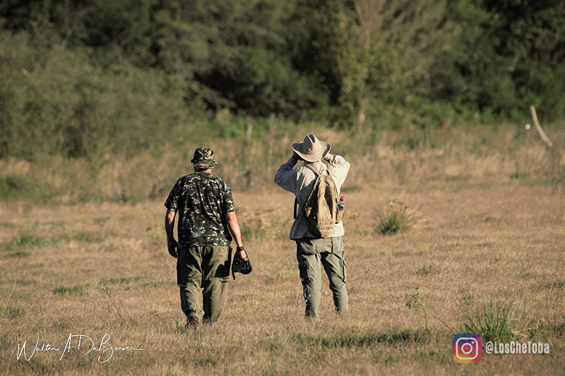 Salidas observación de aves villa maría