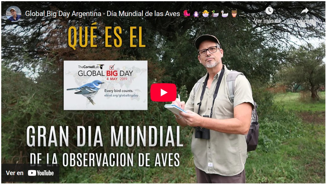 video Gran Día Mundial de la Observación de Aves (Global Big Day)