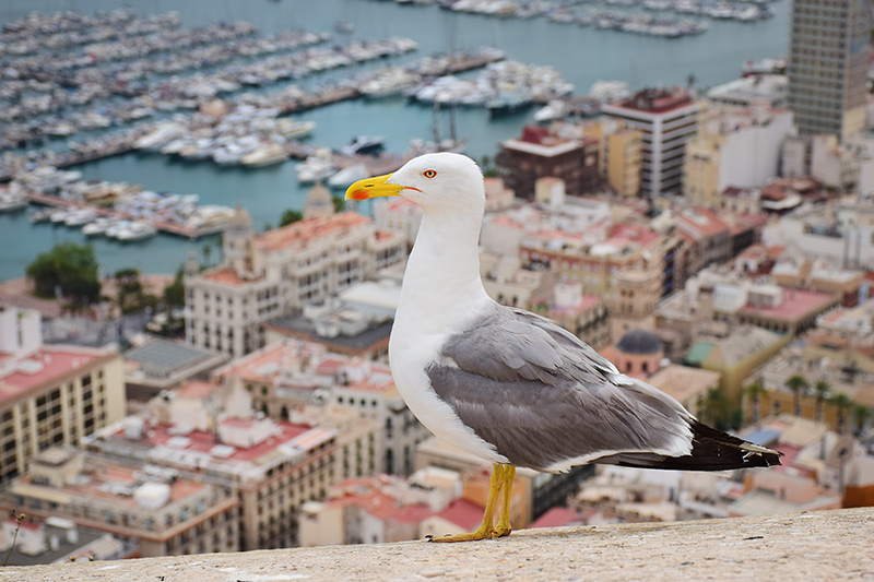 Alicante, España