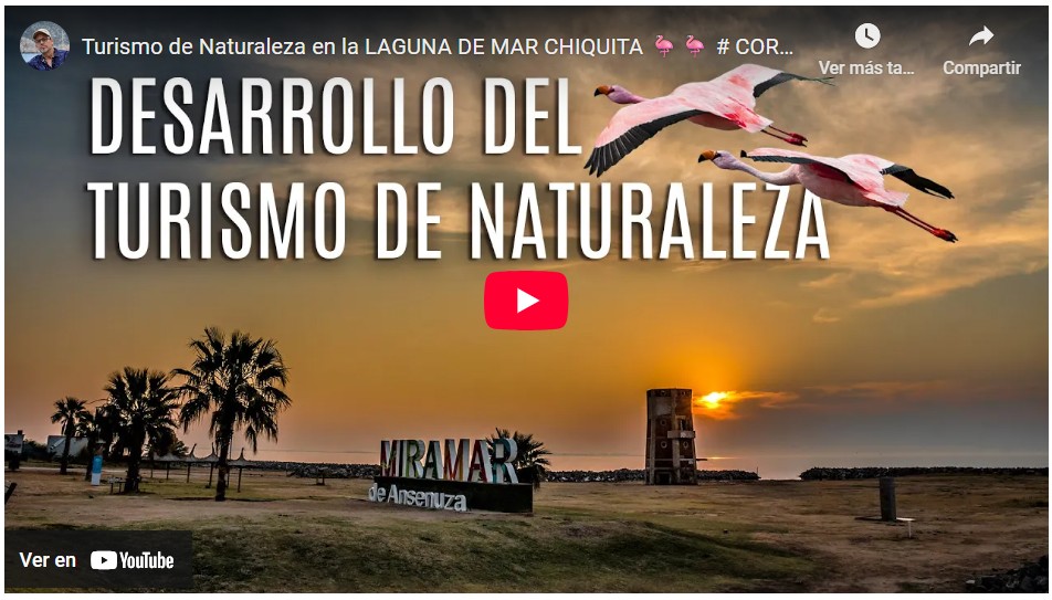 Observación de aves Miramar Ansenuza