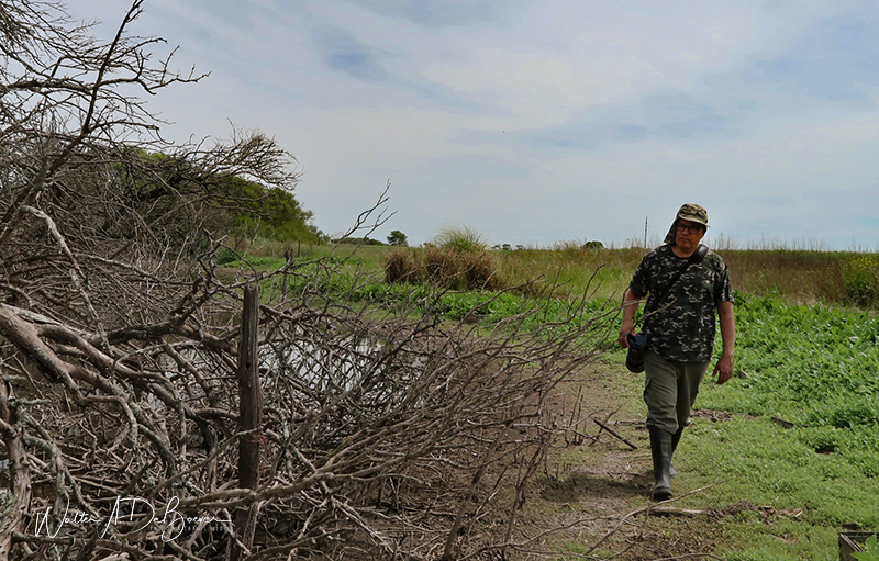 fotografos de aves córdoba