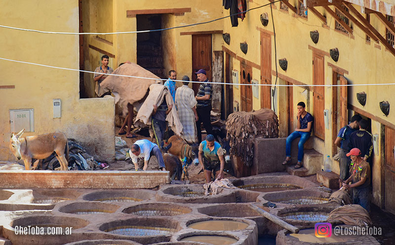 medina de Fez, fotografía de viajes