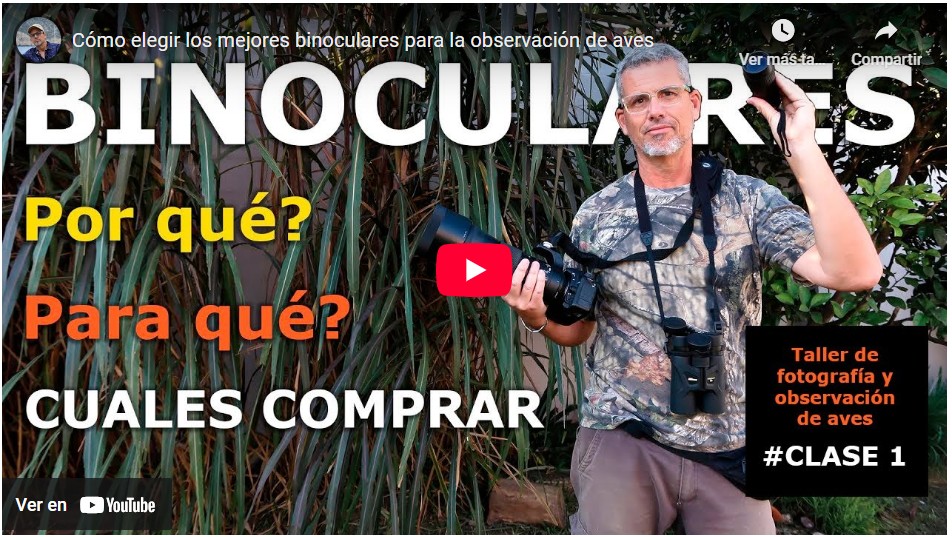 binoculares recomendados para el avistamiento de aves