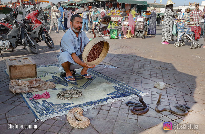 Encantador de Serpientes en Marrakesh