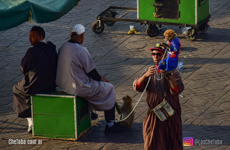 Cosas bizarras que vimos en la plaza de Marrakech