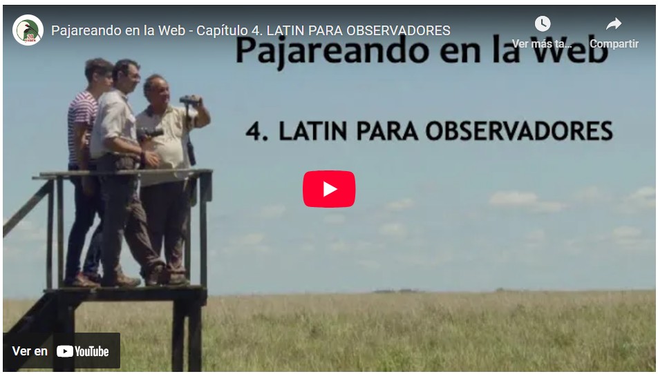 Pronunciar en español nombres científicos escritos en Latín