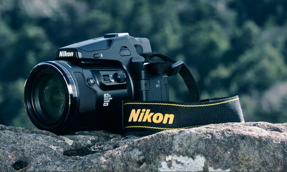 Nikon P950 fotografía de aves
