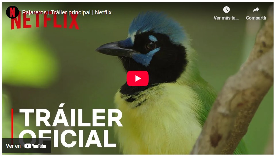 Pajareros, Serie en netflix