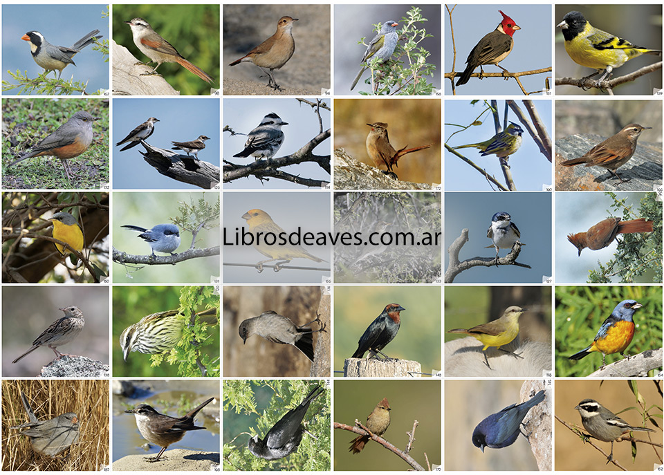 Mis libros de Figuritas de Aves de la Argentina