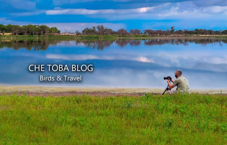 Un blog de Viajes y Turismo de Naturaleza