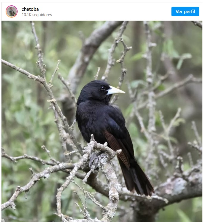 Che Toba fotógrafo Villa María y la región
