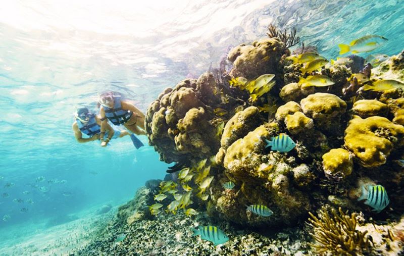 Parque Garrafón Isla Mujeres, un tesoro en el mar