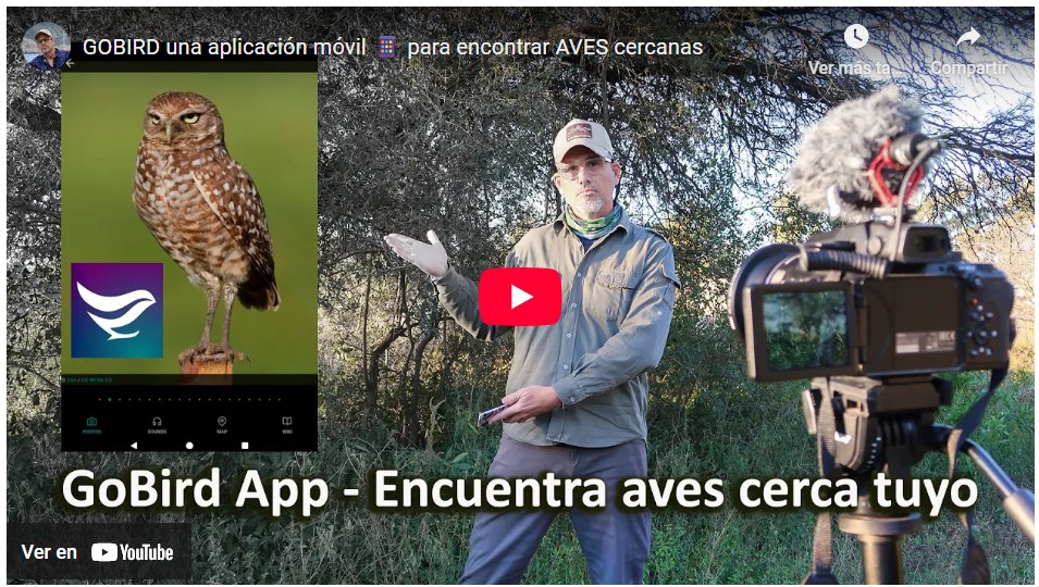 GoBird, una App gratuita para encontrar aves cercanas