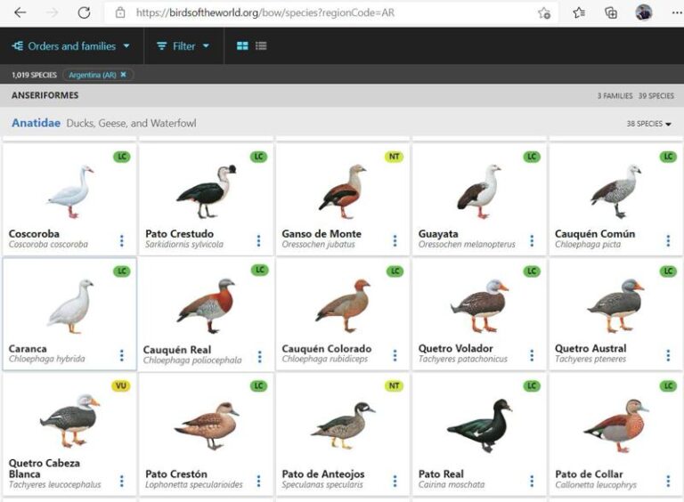 Explorar el orden taxonómico de las aves Guía ilustrada?