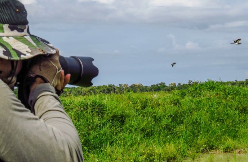 Fotografía de Naturaleza